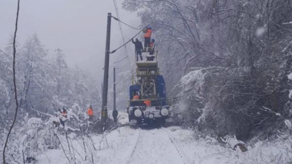 Iarnă în toată regula: ninsorile abundente și viscolul au pus copaci la pământ şi au lăsat mii de oameni fără curent electric. Ceaţa densă a perturbat şi cursele aeriene