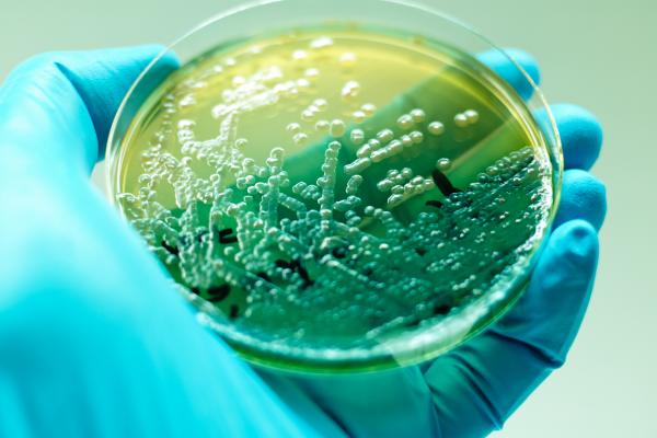 Anchetă la spitalul din Miercurea Ciuc, după ce 14 pacienți operați la ochi au fost infectați cu o bacterie ucigașă. ”Îi ardeau ochii”