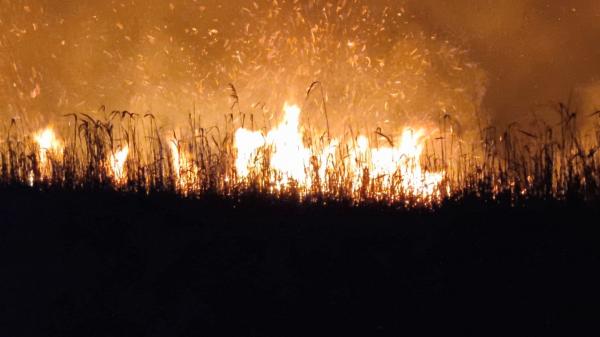 Două incendii puse intenţionat de localnici au pârjolit tot ce le-a stat în cale în Sulina. Pompierii n-au fost solicitaţi să intervină