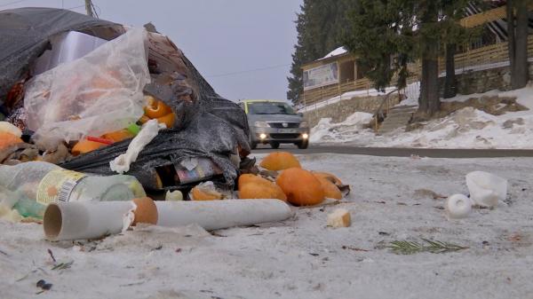 De ce nu există coșuri de gunoi la Rânca, una dintre cele mai populare stațiuni montane din România? Autoritățile cred că atrag animalele sălbatice