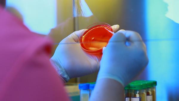 14 bătrâni, operaţi de cataractă, s-au infectat în spital. Reprezentanţii spitalului spun că nu sunt de vină, ancheta DSP îi contrazice: bacteria vine chiar din sala de operaţie