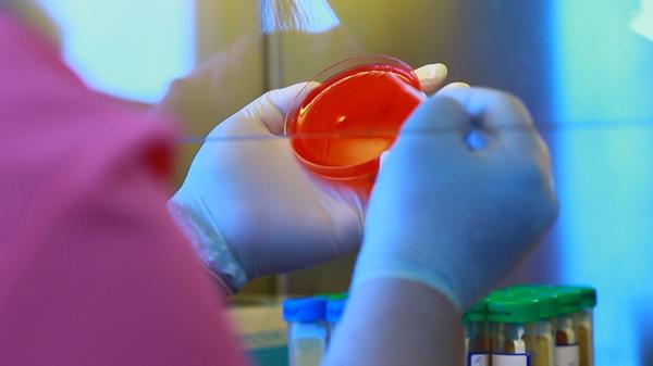 O soluţie perfuzabilă, cauza infecţiei cu piocianic de la Spitalul din Miercurea Ciuc. Ancheta a descoperit că nici instrumentarul nu era sterilizat corespunzător