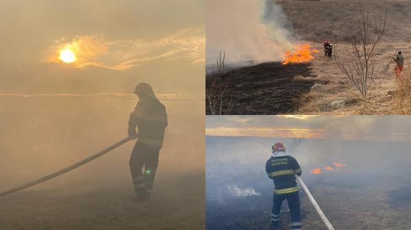 Incendiu violent în Botoşani. Peste zece hectare de vegetaţie uscată au fost înghiţite de flăcări