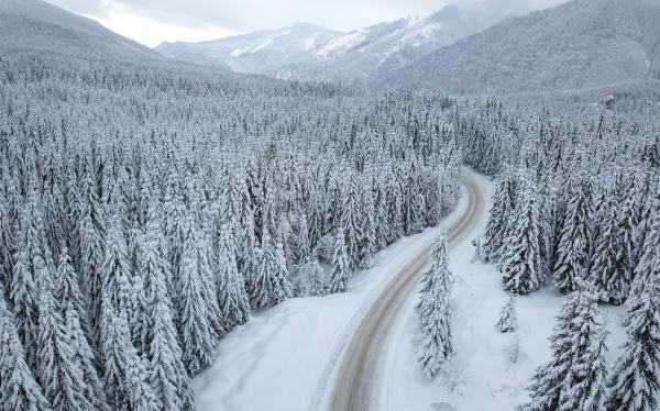 România a încremenit de frig. Valul de aer polar, care a adus cea mai geroasă noapte din an, nu a întârziat să facă victime