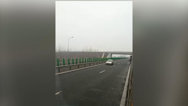 Manevră riscantă în apropiere de vama Nădlac. O şoferiţă a fost surprinsă conducând pe contrasens