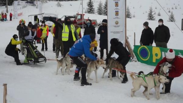 Campionatul de Atelaje Canine 2022. Peste 200 de câini nordici din opt ţări au participat în competiţie