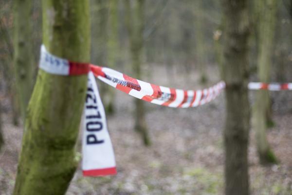 Câine dezgropat dintr-o pădure din Gorj, pentru a lămuri misterul unei posibile crime. Poliţia, alertată de un localnic speriat