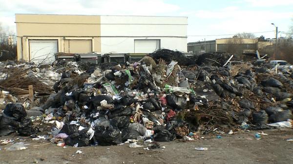 Paradox românesc: Gunoiul de pe străzi a ajuns chiar în curtea ADP