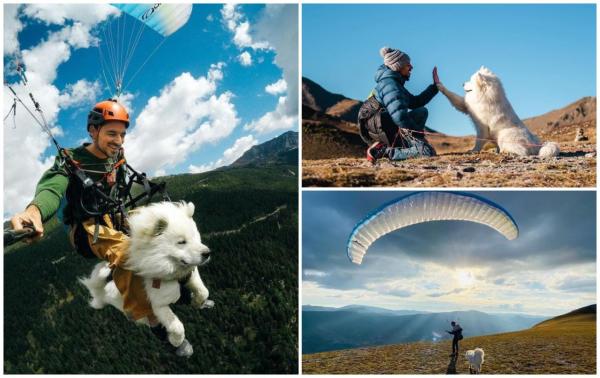 Limita e cerul: câinele Ouka, cel mai bun prieten al unui francez. Cum a început aventura celor doi parapantişti