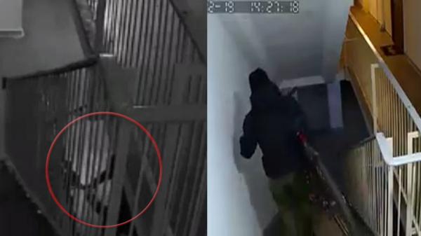 Furt de biciclete surprins pe camera de supraveghere, într-un bloc din Bucureşti: "Hoţul ne-a spus că împarte pliante"