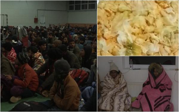 800 de studenţi indieni au descoperit sarmalele româneşti: "România e minunată şi ospitalitatea e uimitoare"