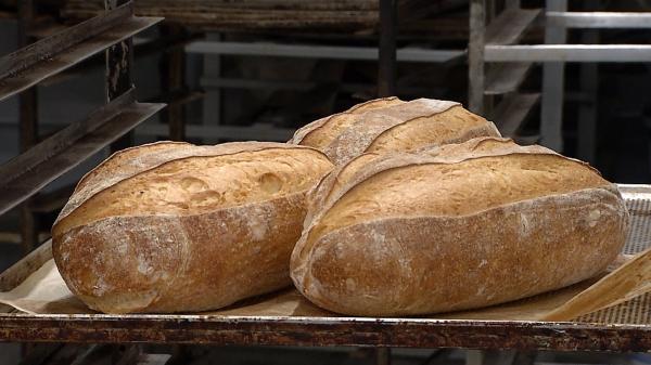 România exportă cantităţi uriaşe de grâu, în ciuda războiului din Ucraina. Ţările vecine au restricţionat transportul de cereale