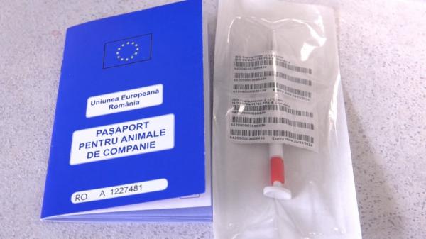 Înghesuială la cabinetele veterinare. Românii le fac paşapoarte animalelor de companie pentru a le putea scoate din țară