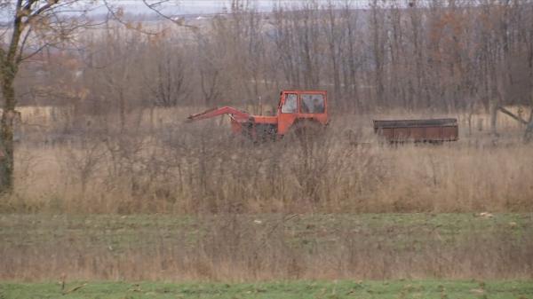 Scumpirile pun pe butuci agricultura românească. Unii producători din Gorj refuză să mai investească în pământul deţinut