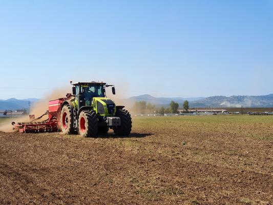 România a devenit, brusc, cel mai mare exportator de grâu din Europa. Ucraina nu-și mai poate onora contractele