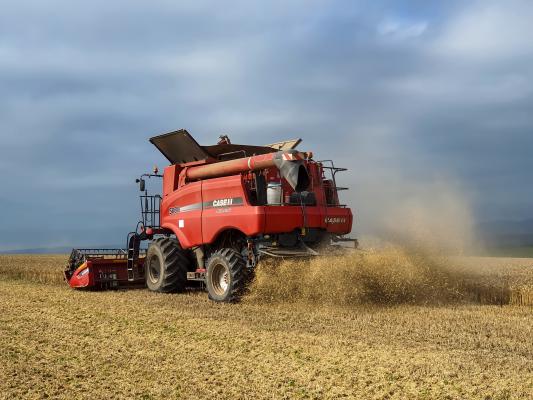 România are resurse pentru a hrăni 4 țări de dimensiunea ei, dar importă peste 70% din mâncare. Cum putem evita o criză alimentară