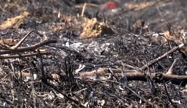 Peste 100 de incendii de vegetaţie uscată în Gorj, în ultimele 5 zile. Primarul e disperat. Îşi dă salariul recompensă în schimbul găsirii vinovaţilor