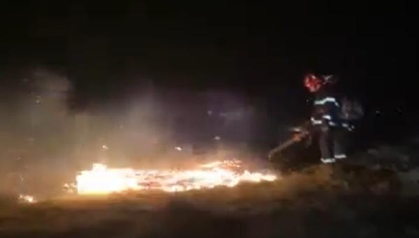 Zeci de hectare de vegetaţie au fost pârjolite, în Buzău. Totul a pornit de la un foc lăsat nesupravegheat