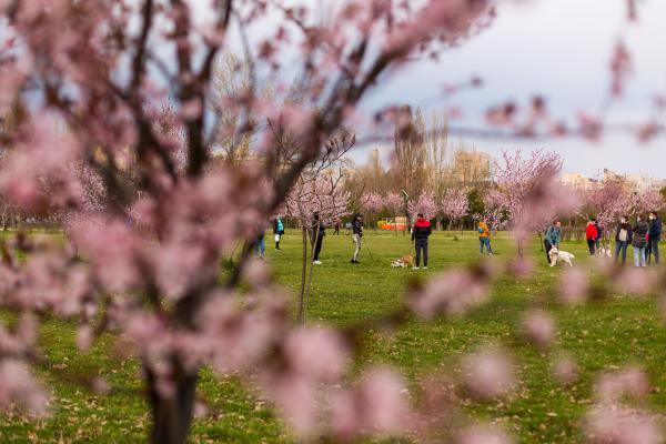 Cea mai călduroasă dimineață de 2 aprilie din ultimii 60 de ani. Mâine se răcește din nou în toată țara, cu minime de 2 grade
