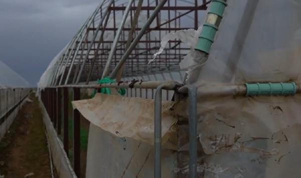 ''Zici că era sfârşitul lumii.'' O vijelie puternică a distrus zeci de solarii în Dâmboviţa. Localnicii sunt disperaţi