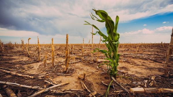 Mai avem 3 ani la dispoziție pentru a evita o catastrofă climatică. Raport înfiorător al ONU