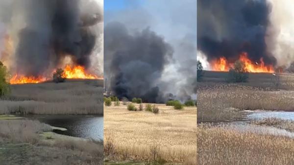 Incendiul din Delta Văcărești a fost lichidat.  Au ars 15 mii de metri pătrați. Intervenția pompierilor, îngreunată de vânt