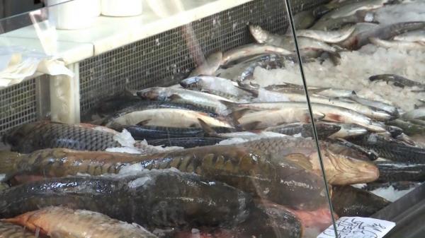 Peştele, cu 50% mai scump decât anul trecut. Chiar şi aşa, românii au ţinut să respecte tradiţia de Florii şi nu s-au uitat la preţ