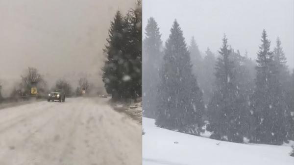 Vremea s-a schimbat radical de la o zi la alta. În nordul țării a nins și a căzut grindina: "Aoleu, potopul! Vine iarna, nu-i ca vara"