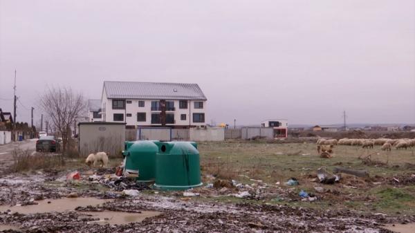 Cartierul rezidențial din Craiova supranumit Căpșunăria. Cum arată viețile oamenilor care trăiesc practic în câmp