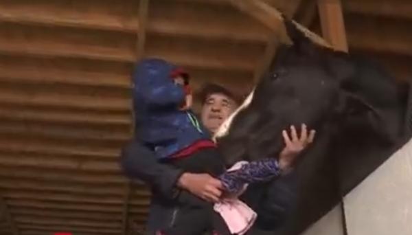 Distracţie pentru cei mici la un centru de echitaţie din Suceava: s-au jucat cu iepuraşii şi caii şi au participat la o vânătoare de ouă de ciocolată