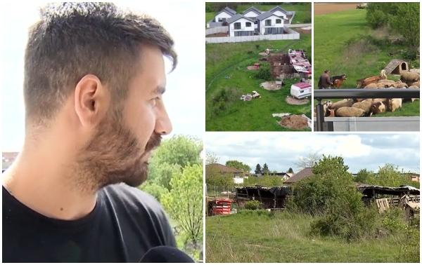 Emilian a dat 120.000 de euro pentru o vilă într-un cartier rezidenţial de lângă Bucureşti. S-a trezit însă înconjurat de oi. "Cine a fost mai întâi: stâna sau casa?"