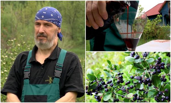 Un agricultor din Gorj a dat lovitura cu fructul-medicament. Are comenzi inclusiv în Finlanda şi Norvegia, iar profitul este uriaş