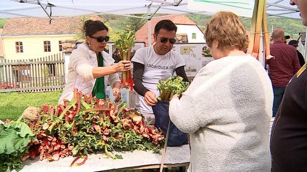 Sute de kilograme de rubarbă, cumpărate de turiști în curtea Bisericii Evanghelice din Saschiz