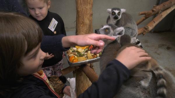 Animalele de la Grădina Zoologică din Oradea pot fi "adoptate". Noii părinţi au ocazia să le ofere hrană și să se joace cu ele câteva ore