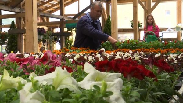 Afacerea care l-a făcut bogat pe un român după ce s-a întors din Germania: "Aici este acasă, am revenit acasă"