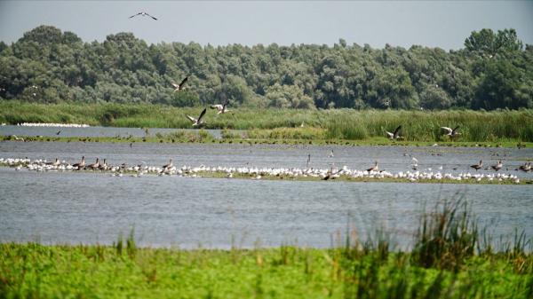 Amenda pentru camparea ilegală din Delta Dunării va fi majorată pentru a-i descuraja pe cei care lasă tone de gunoi în urma lor