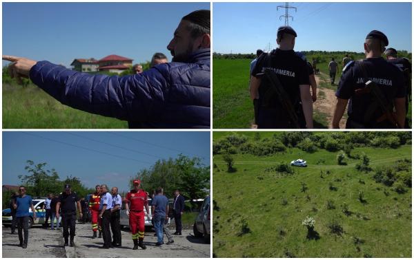 "Nu alerga, mergea încet. Ne-a văzut, s-a oprit". Un leu a creat panică în Târgovişte, după care s-a făcut nevăzut. S-au emis două mesaje Ro-Alert