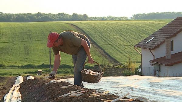 "Leguma regilor" cu care a dat lovitura un român întors din Germania. Vinde 1 kg cu 40 de lei