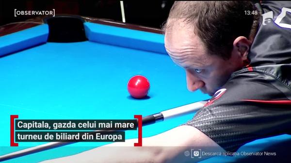 Predator Bucharest Open. O pisică a fost vedeta turneului şi a reuşit să ghicească cine îl va câştiga