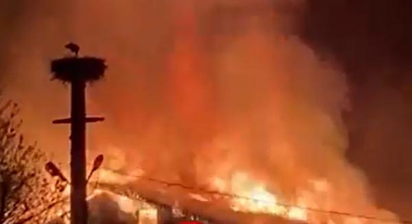 Incendiu de proporţii în Vatra Dornei: Şase hale de preluare şi depozitare a lemnului mistuite de flăcări