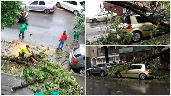 Cine repară maşinile distruse de furtună. Primăria nu are poliţă de asigurare pentru plata daunelor cauzate de arborii căzuţi pe maşini