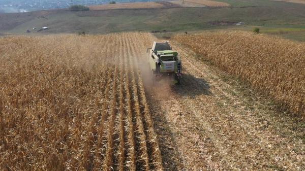 Ministerul Agriculturii vrea să centralizeze stocurile de alimente de bază. Cei care nu declară pot fi amendaţi