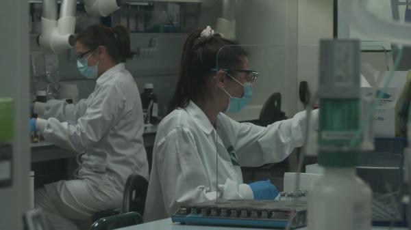 Cum se transmite variola maimuţei. Marii purtători ai virusului. OMS: "Nu e un focar tipic"