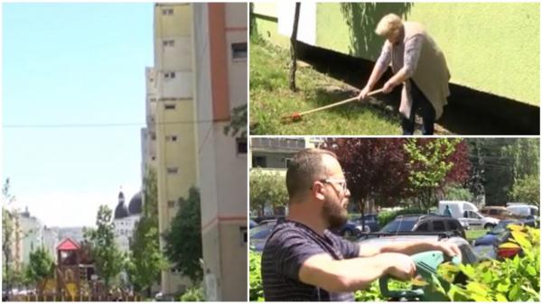 Unelte gratis pentru sibienii care vor să îngrijească spaţiile verzi, puse la dispoziţie de o asociaţie. Cât au costat echipamentele