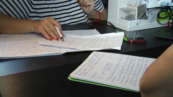 Un elev din trei face meditaţii la cel puţin o materie. Un profesor de matematică poate încasa mai bine de 10.000 de lei pe lună