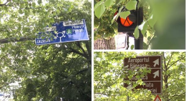 Şoferii din Bucureşti îşi pun viaţa în pericol zilnic. Zeci de indicatoare din Capitală sunt ascunse de crengi şi vegetaţie