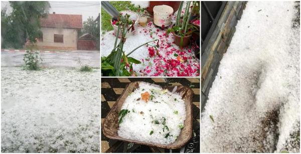 Natura s-a dezlănțuit la Făget, lângă Lugoj. În doare câteva minute, străzile și grădinile au fost acoperite de grindină