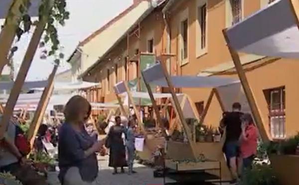 O stradă din Cluj-Napoca s-a transformat în grădină pentru un weekend