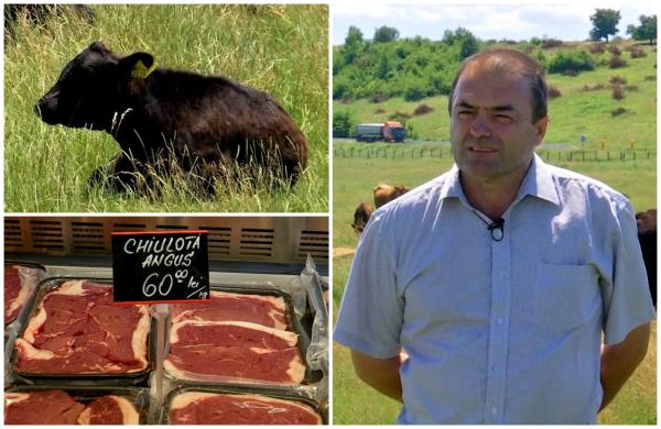 Afacerea cu care românul Petre Golu a dat lovitura. Totul a început de la o licitaţie în Germania, acum 8 ani