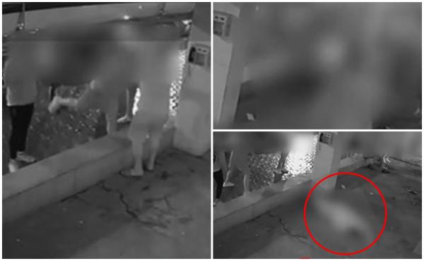 Patru bărbaţi din Constanţa, snopiţi în bătaie în faţa unui restaurant. Au fost loviţi cu pumnii şi picioarele de un grup furios
